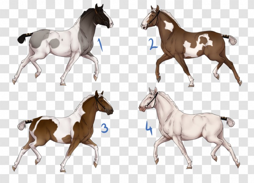 Mustang Stallion Foal Mare Colt - Painted Horse Transparent PNG