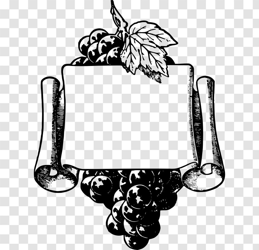 Wine Common Grape Vine Picture Frames Clip Art - Border Frame Transparent PNG