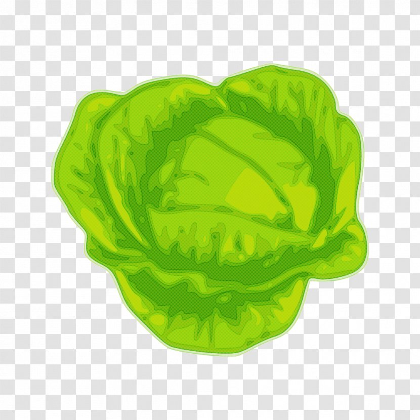 Green Leaf Lettuce Cabbage Plant - Flower - Vegetable Transparent PNG