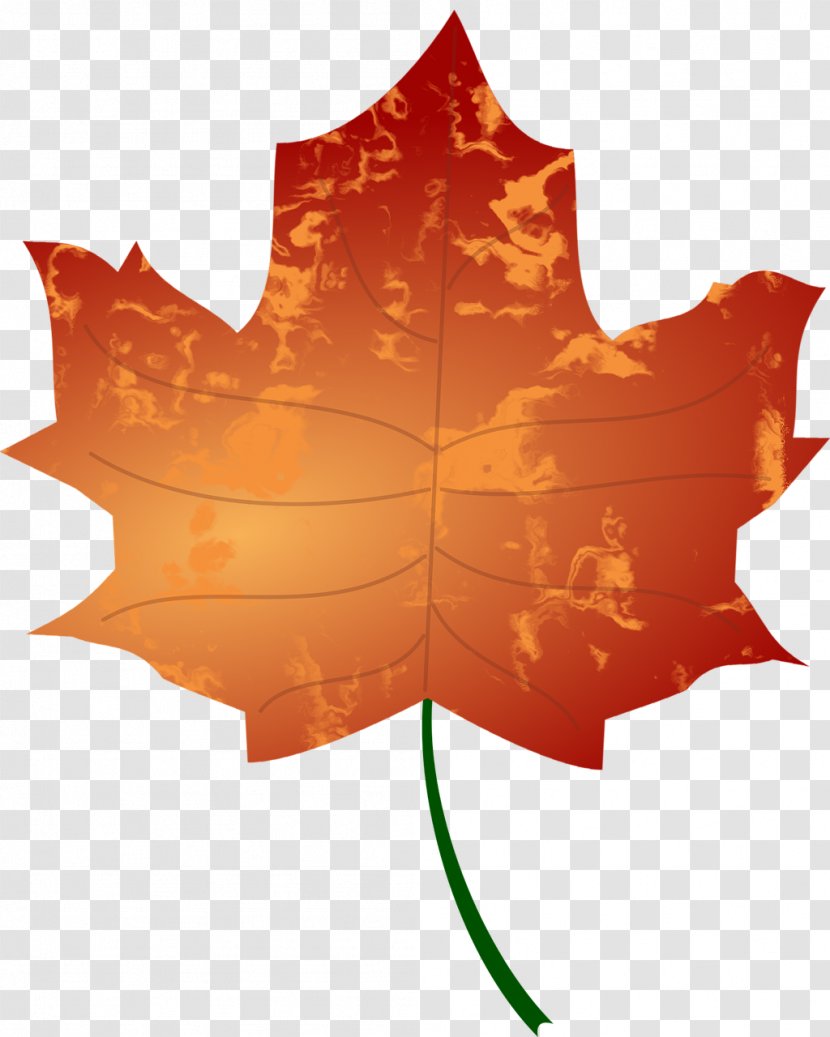 Autumn Leaf Color Drawing Clip Art - Maple Transparent PNG
