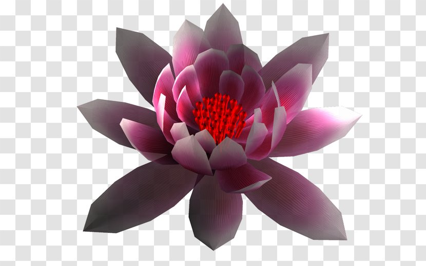 Petal Flower Garden Roses Clip Art - Animation Transparent PNG