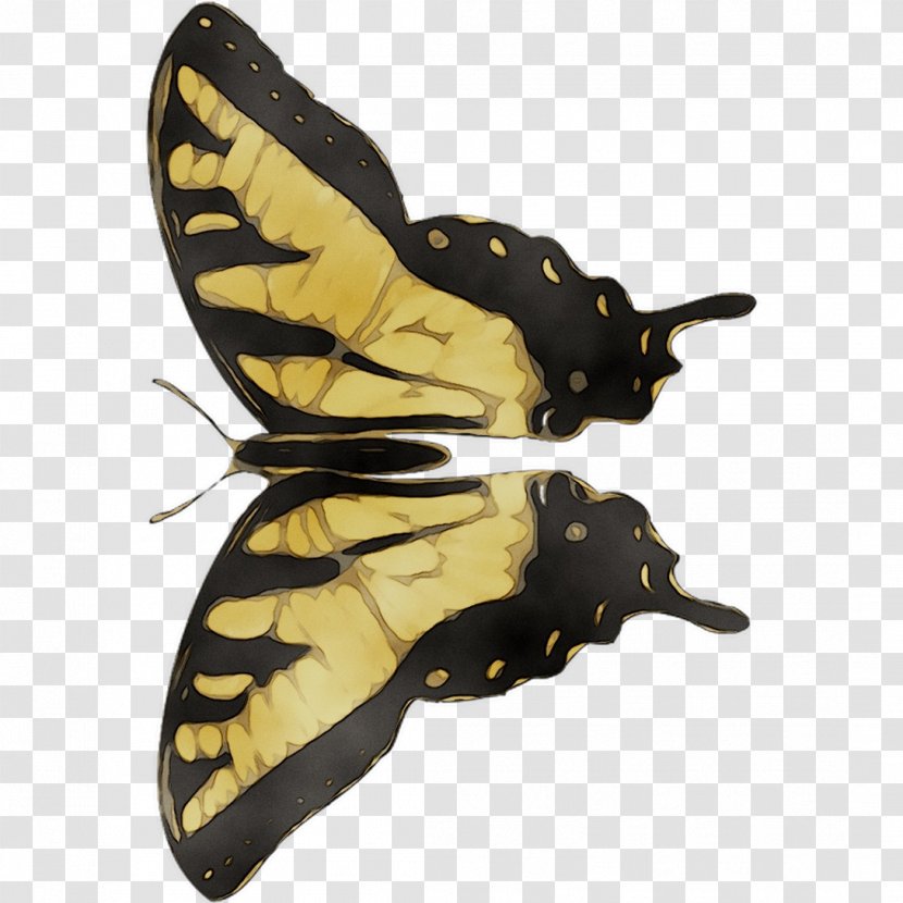 Butterfly Moth Shoe Product Design - Brushfooted - Wing Transparent PNG