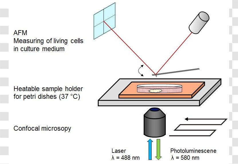 University Of Hamburg Nanoparticle Nanotechnology Atomic Force Microscopy Nanocrystal - Gold PARTICLES Transparent PNG