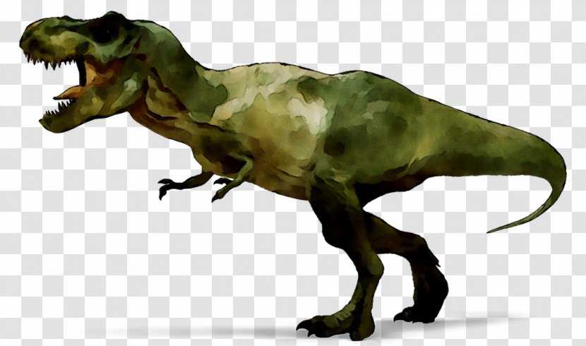 Indominus Rex Dinosaur Tyrannosaurus Animatronics T-shirt - Velociraptor - Jurassic Park Transparent PNG