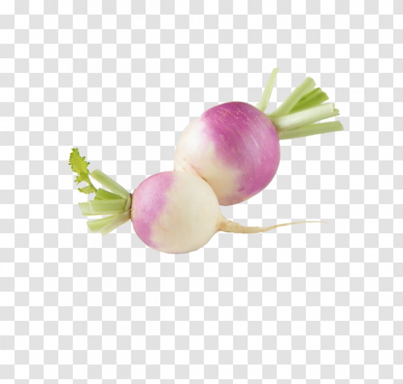 Turnip Vegetable Radish Collard Greens Eating - Carrot Transparent PNG