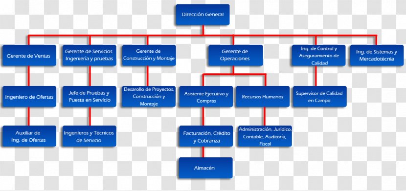 Organizational Chart Empresa Structure Company - Steel - Skills Transparent PNG