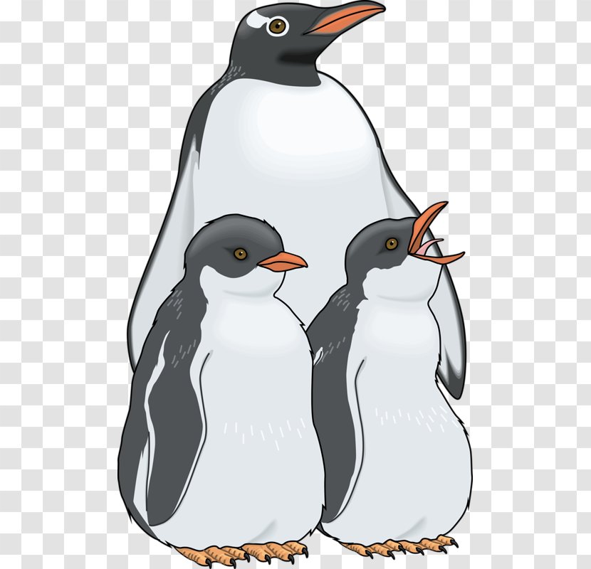 Penguin Royalty-free Clip Art - Bird - Three Penguins Transparent PNG