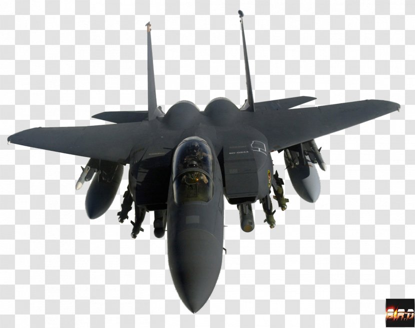 McDonnell Douglas F-15 Eagle F-15E Strike Grumman F-14 Tomcat Lockheed Martin F-22 Raptor Robins Air Force Base - F 14 - Aviao Transparent PNG