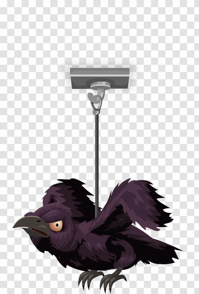 Taxidermy Crow - Raven - The Transparent PNG