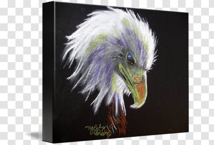 Bald Eagle Gallery Wrap Beak Canvas Art - Nancy Pearl Transparent PNG