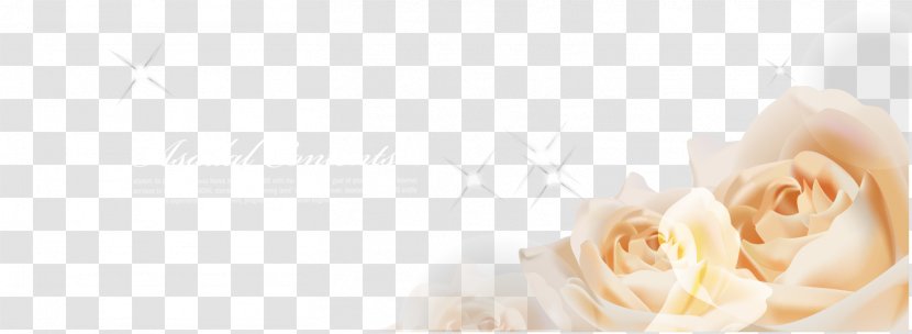 Garden Roses Desktop Wallpaper Floral Design Petal - Rose Family - Vector Yellow Dream Shading Transparent PNG