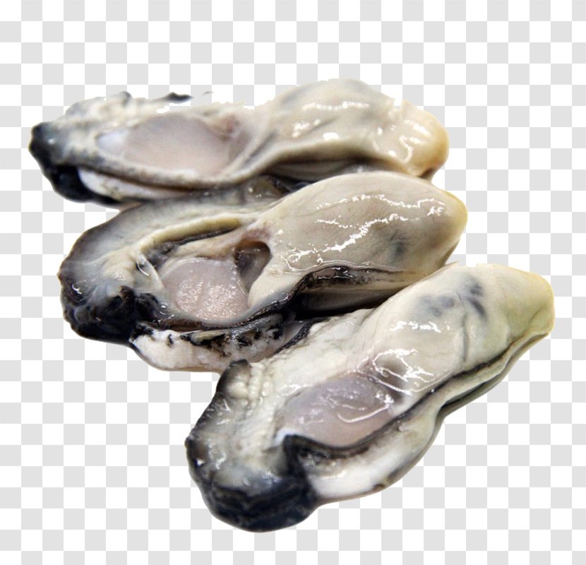 Oyster Seafood Clam Mussel Meat - Online Shopping - Now Peel Transparent PNG