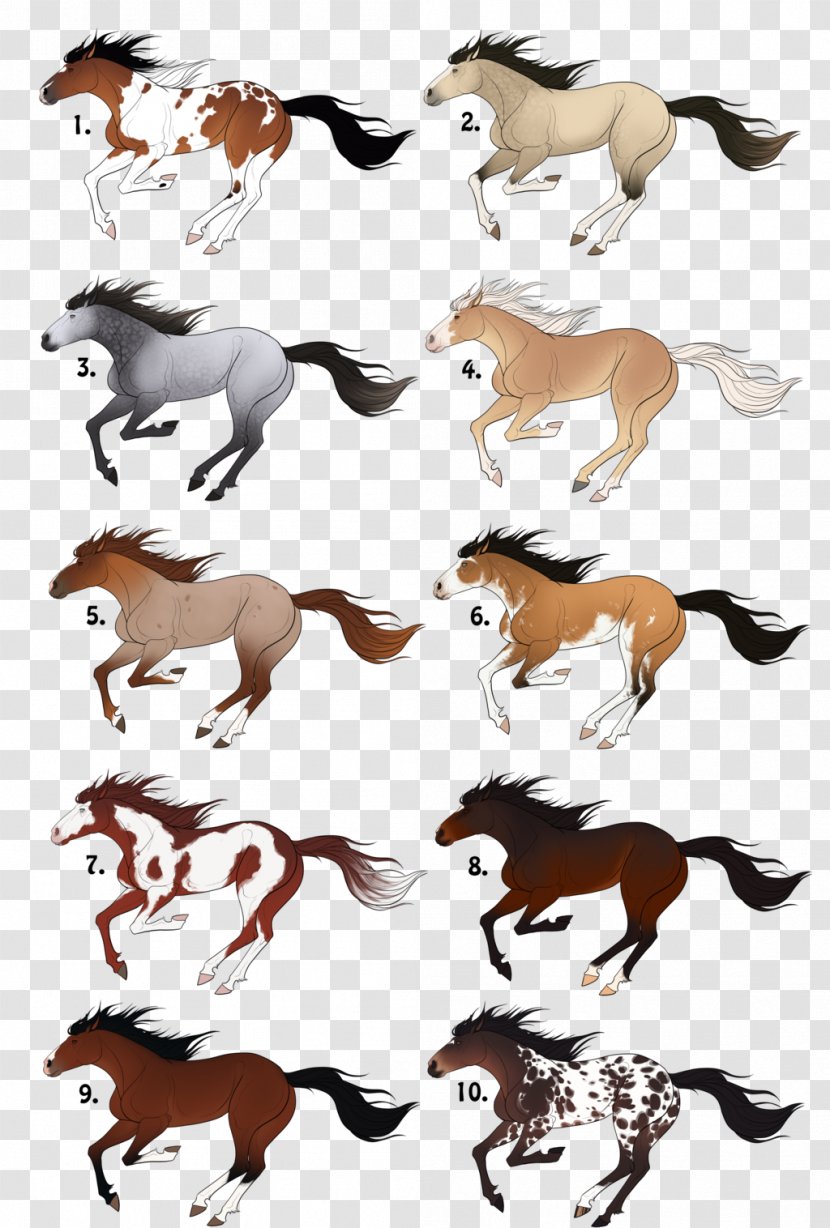 Mustang Pony Stallion Mane Pack Animal - Horse Transparent PNG