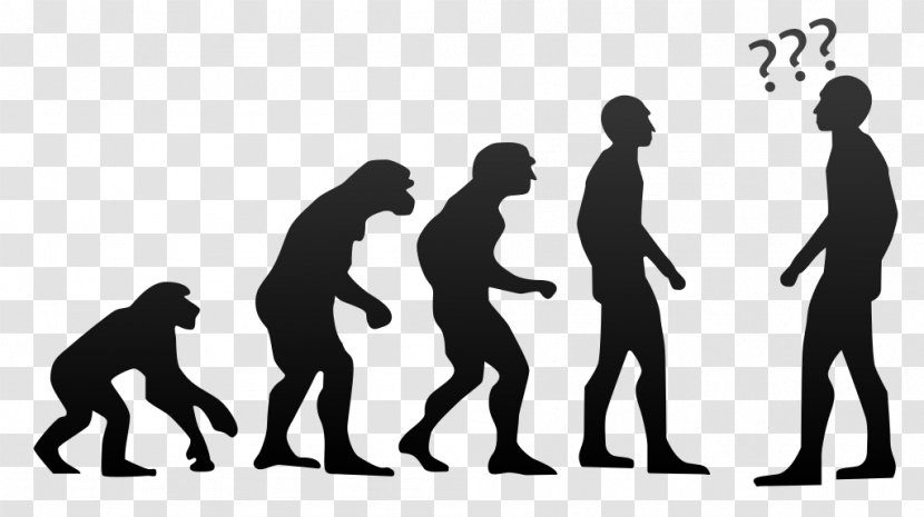 Human Evolution Evolutionary Biology Psychology - Social Group Transparent PNG