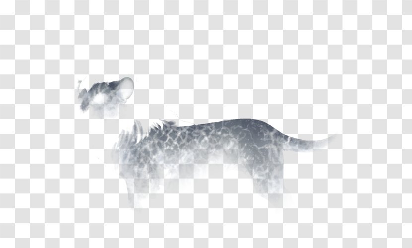 Dog Breed Canidae Snout Carnivora - Crackle Transparent PNG