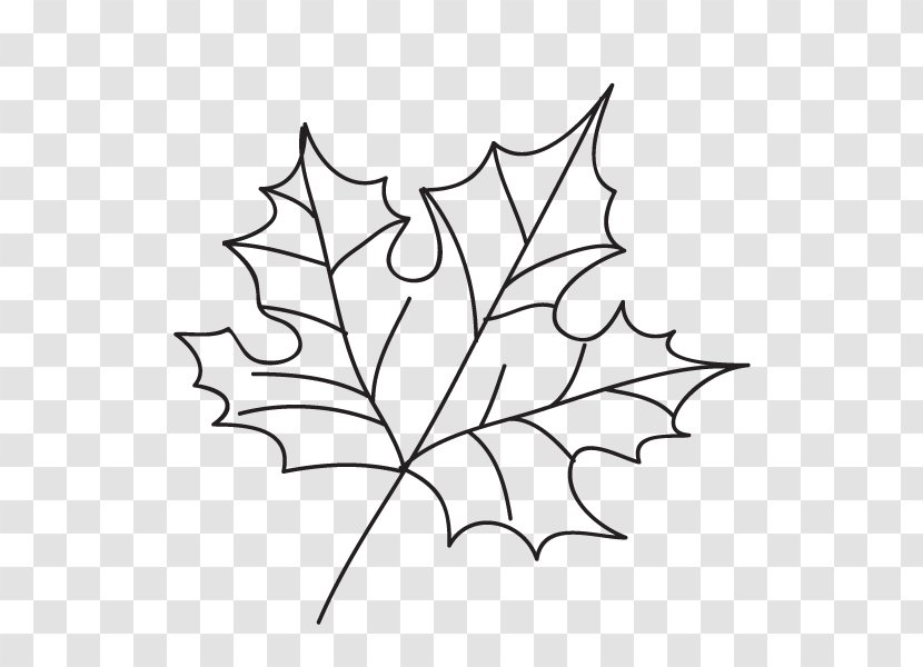 Maple Leaf Tattoo EasyTatt Line Art Transparent PNG