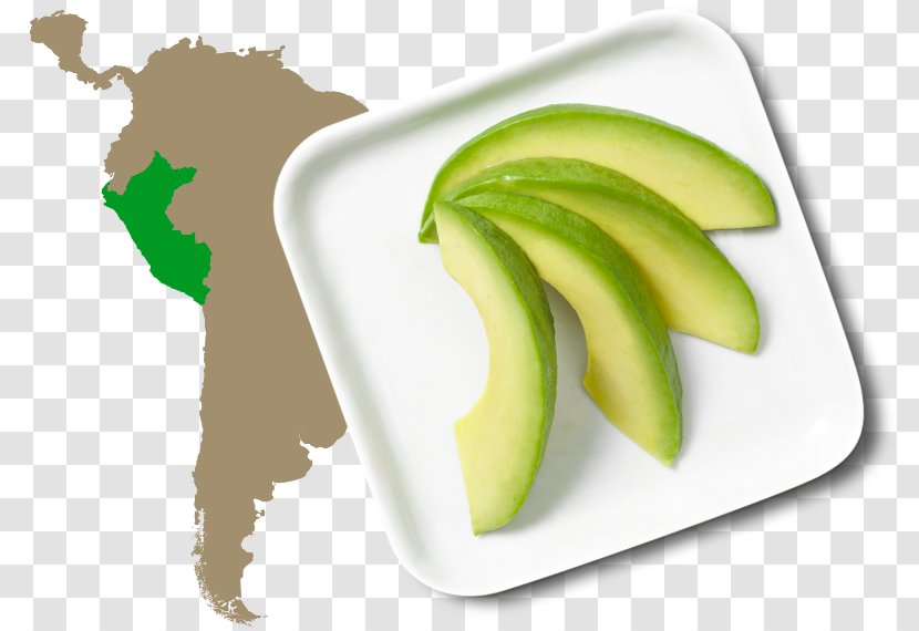 Latin America South United States World Map - Superfood Transparent PNG