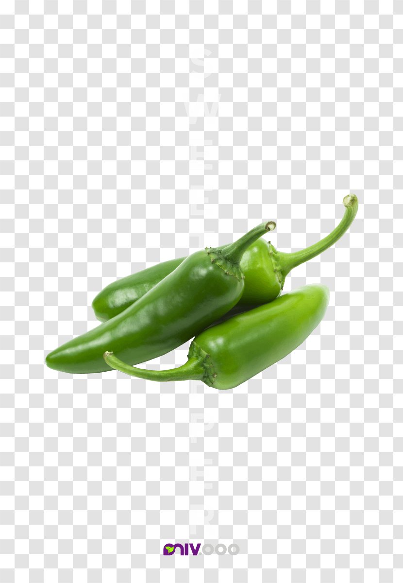 Chili Con Carne Stuffing Jalapeño Bell Pepper - Cayenne - Sweet Peppers Transparent PNG