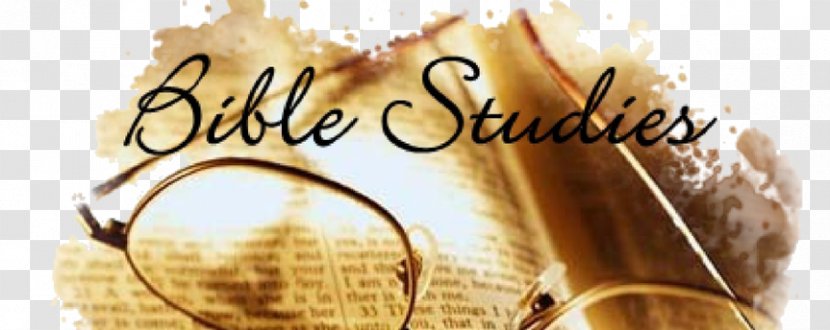 Bible Study New Testament Biblical Studies Homiletics - United Methodist Church - BIBLE STUDY Transparent PNG