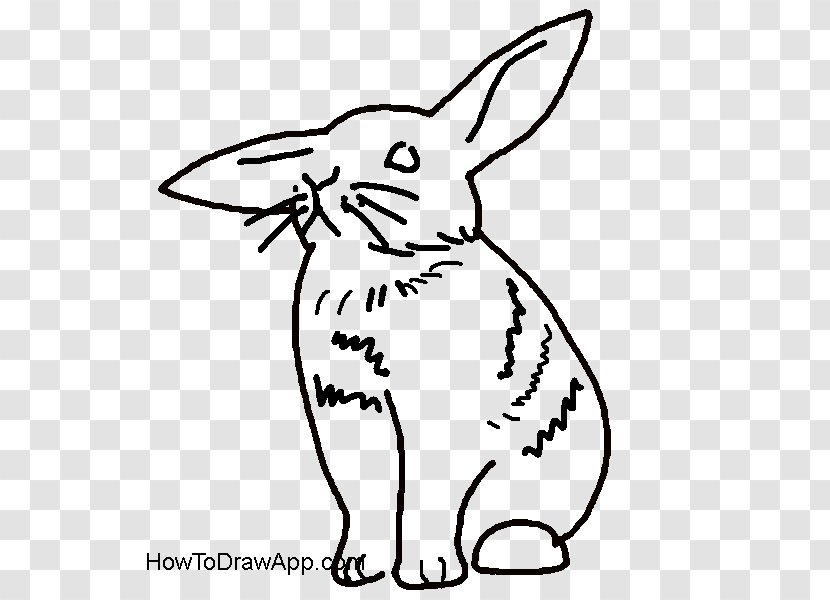 Domestic Rabbit Hare Whiskers Drawing - Snout Transparent PNG