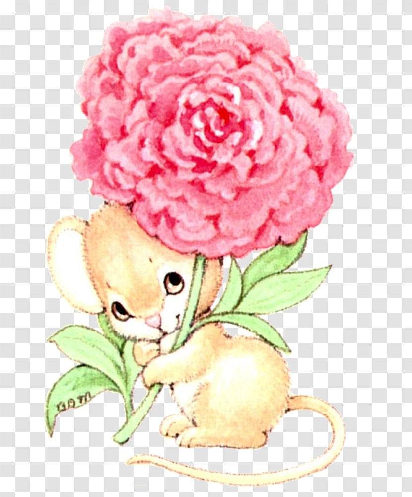Garden Roses Cabbage Rose Floral Design Cut Flowers Carnation - Order - Flower Transparent PNG