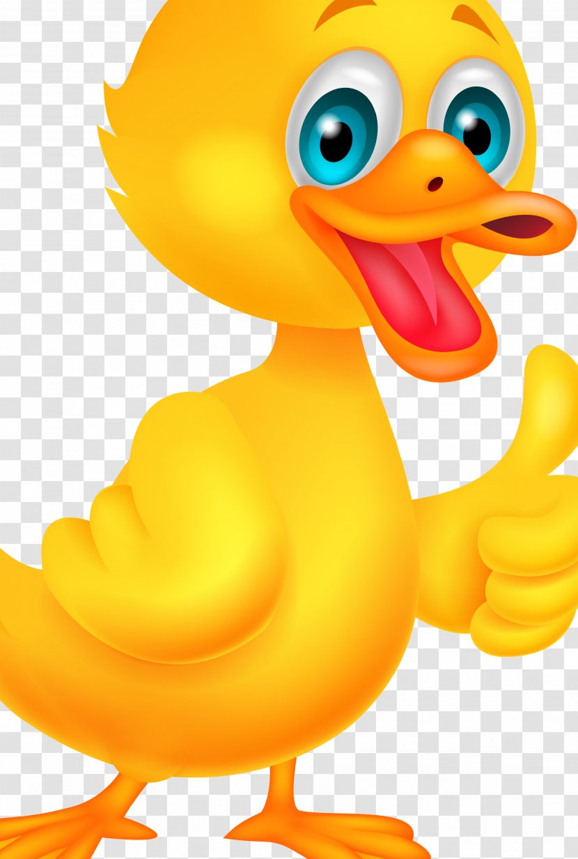 Duck Goose Cygnini Clip Art Beak Transparent PNG