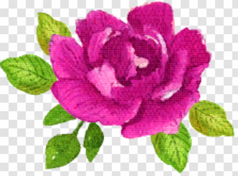 Purple Watercolor Flower - Rose - Hybrid Tea Order Transparent PNG