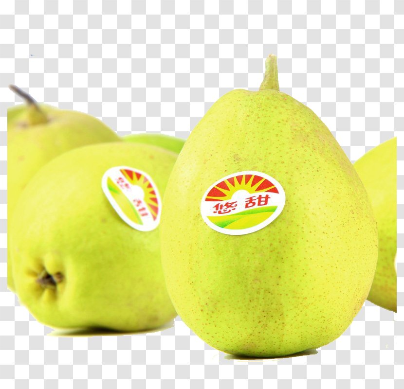 Pear Fruit - Fresh Transparent PNG