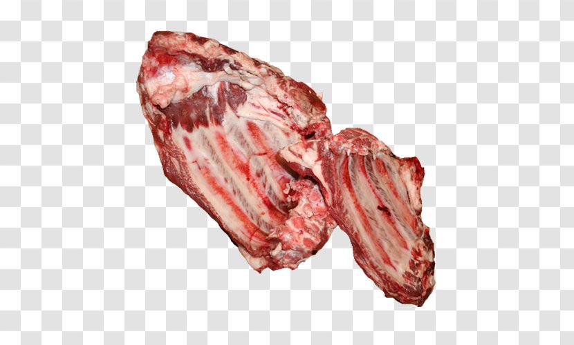 Capocollo Meat Beef - Watercolor - Skeleton Transparent PNG