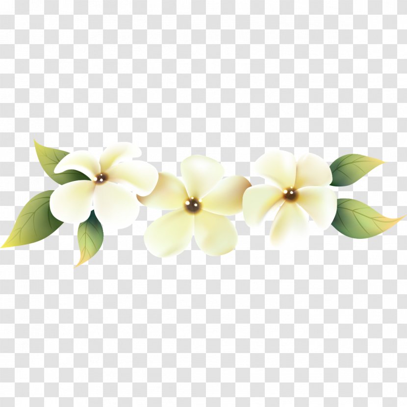 Cut Flowers Vector Graphics Design Moth Orchids - Flower Bouquet - Stephanotis Florist Supplies Transparent PNG