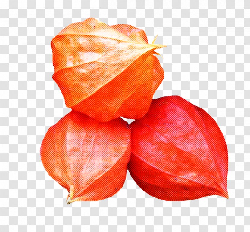 Orange - Peruvian Groundcherry - Vegetable Vegetarian Food Transparent PNG