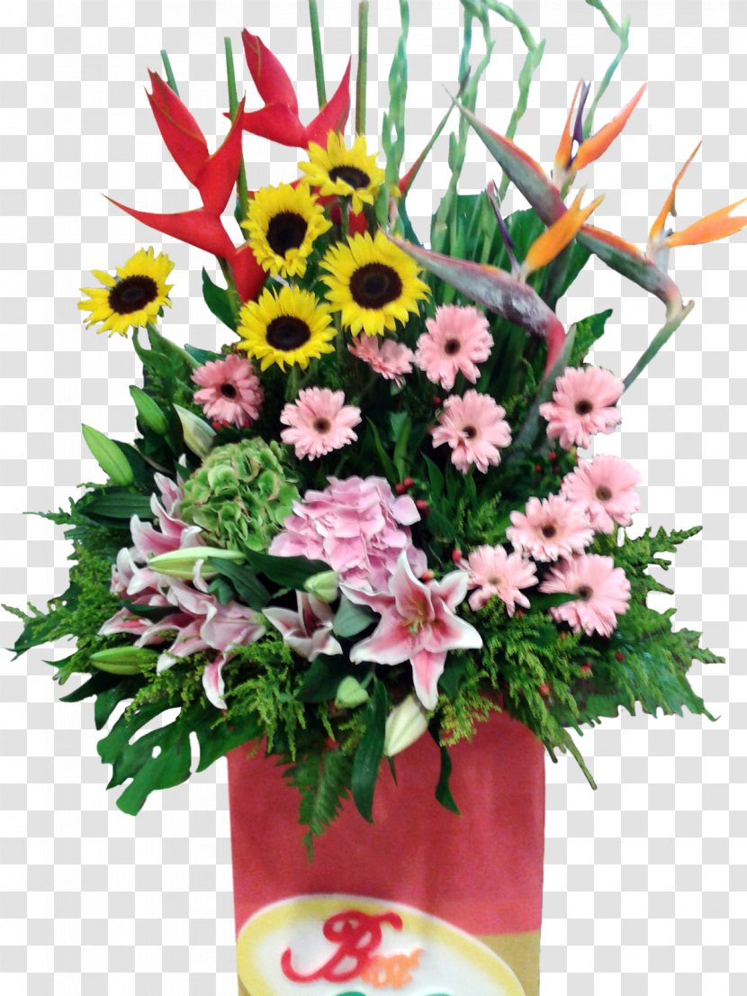 Floral Design Cut Flowers Flower Bouquet Transvaal Daisy - Family Film Transparent PNG
