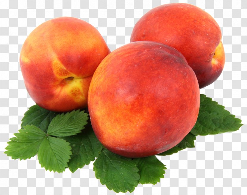 Juice Smoothie Nectarine Fruit Peach - Watermelon Transparent PNG