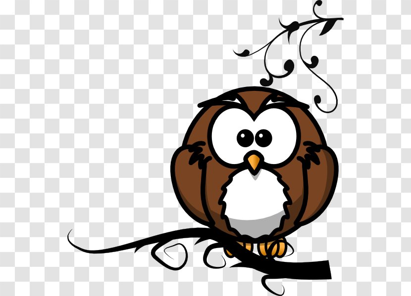 Clip Art Image Vector Graphics Owl - Drawing - Branch Transparent PNG