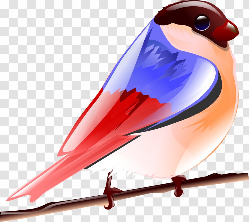 Hummingbird Parrot Clip Art - Drawing - Birds Transparent PNG