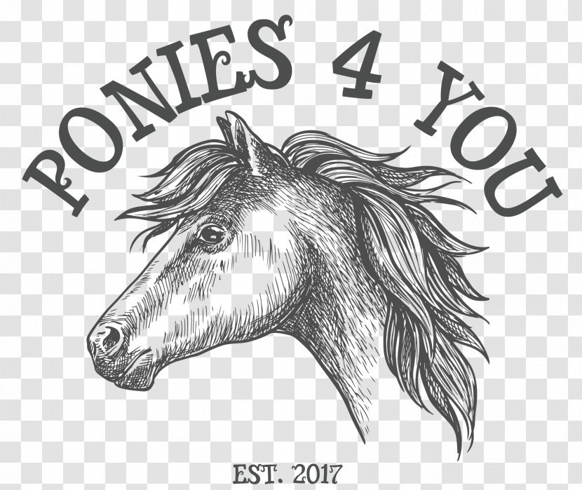 Mane Mustang Donkey Sketch Pack Animal - Mammal - Field Notes Pony Express Transparent PNG