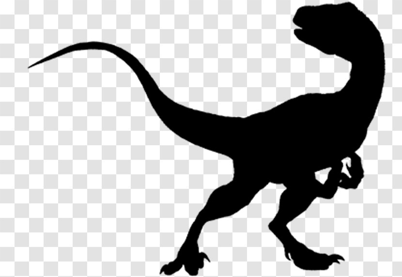 Jurassic Park Velociraptor Dinosaur Tyrannosaurus Amino: Communities And Chats - Extinction Transparent PNG