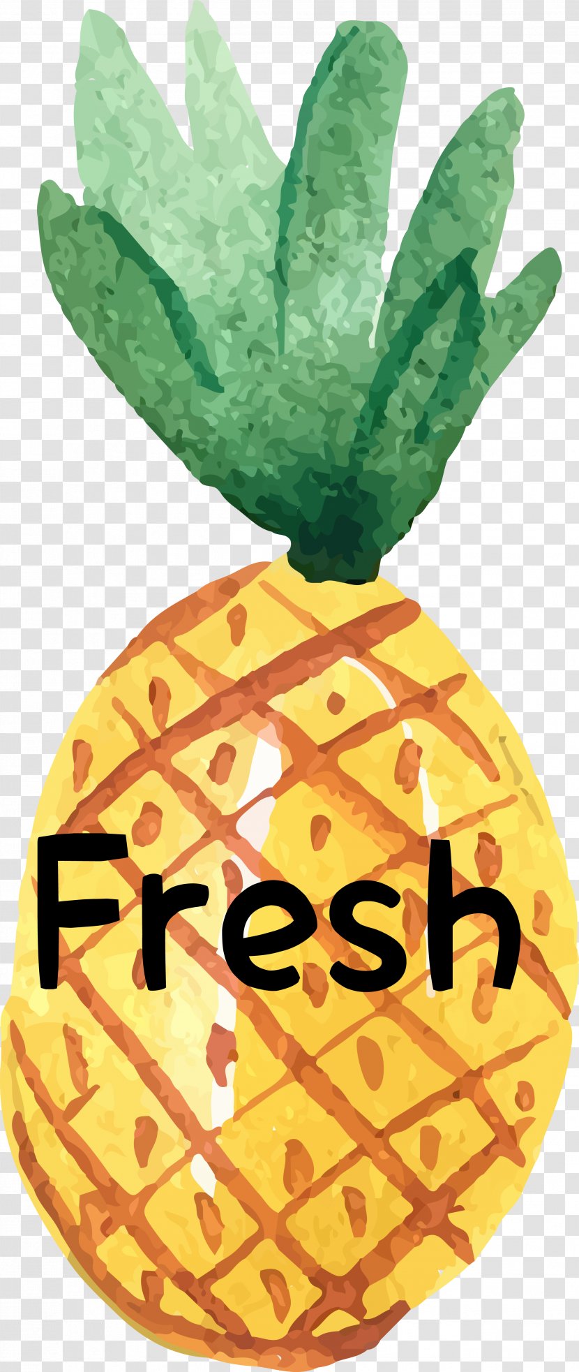 Pineapple Watercolor Painting - Plant Transparent PNG