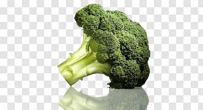 Broccoli Cauliflower Cabbage Vegetable - Vitamin - Closeup Transparent PNG
