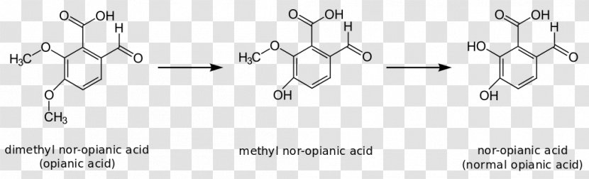 Thearubigin Theaflavin Seveso Disaster 2,3,7,8-Tetrachlorodibenzodioxin - Silhouette - Hydrochloric Acid Transparent PNG