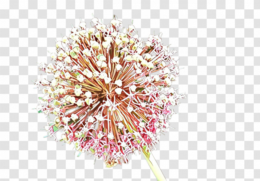 Pink Flower Plant Cut Flowers Allium Transparent PNG