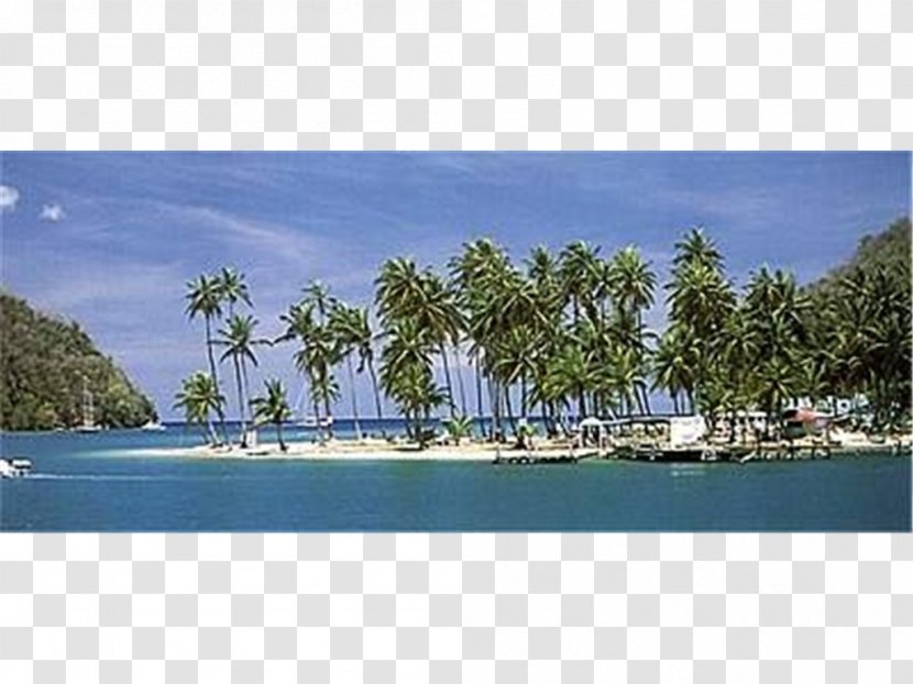 Inlet Panorama Caribbean Waterway Bay - Coastal And Oceanic Landforms - Land Lot Transparent PNG