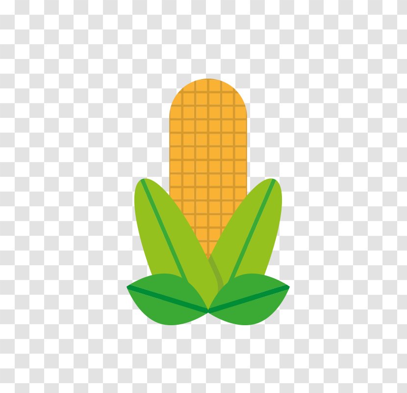 Maize Cartoon - Animation - Corn Transparent PNG