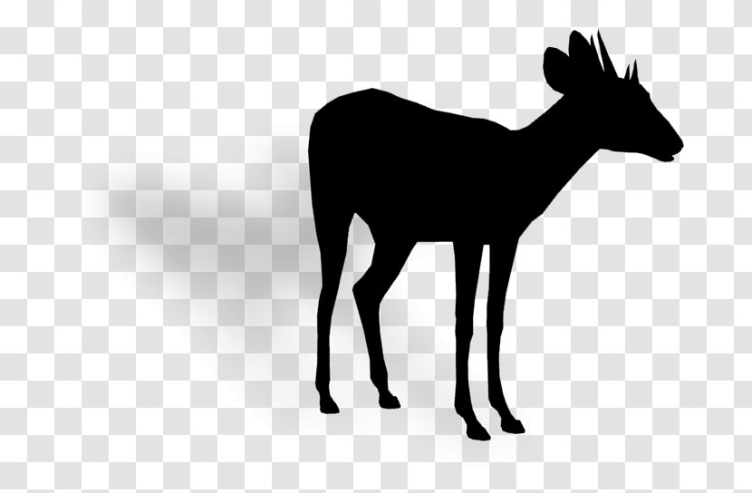 Reindeer Moschus Clip Art Fauna - Musk - Fawn Transparent PNG