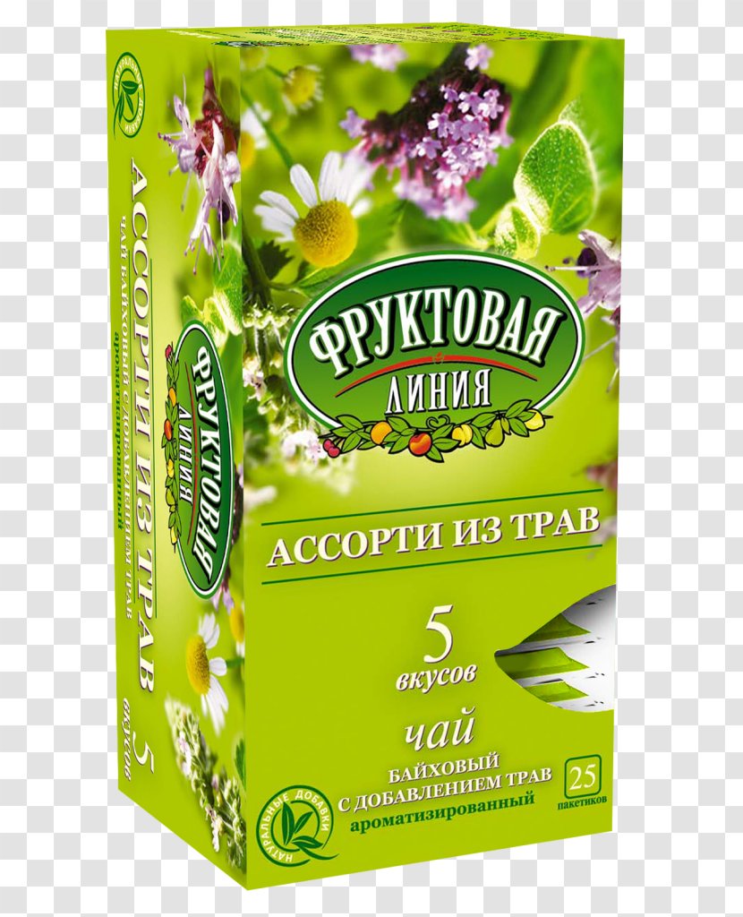 Herbal Tea Herbalism Taste - Photography - Fruit Transparent PNG