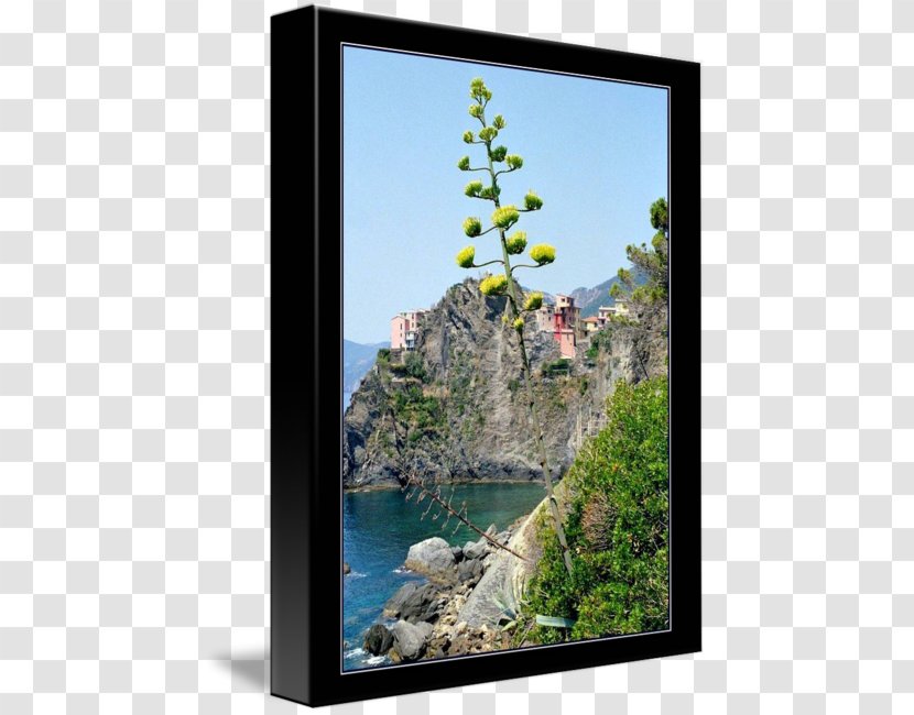 Picture Frames Tree Sky Plc - Cinque Terre Transparent PNG