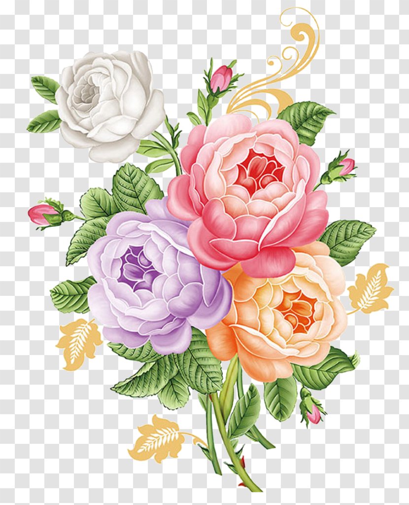 Moutan Peony Garden Roses - Creative Arts - Hand Colored Transparent PNG