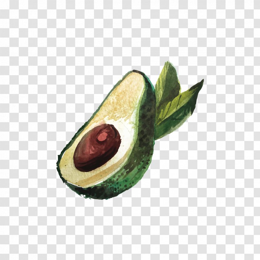 Avocado Cartoon - Food - Drawing Transparent PNG