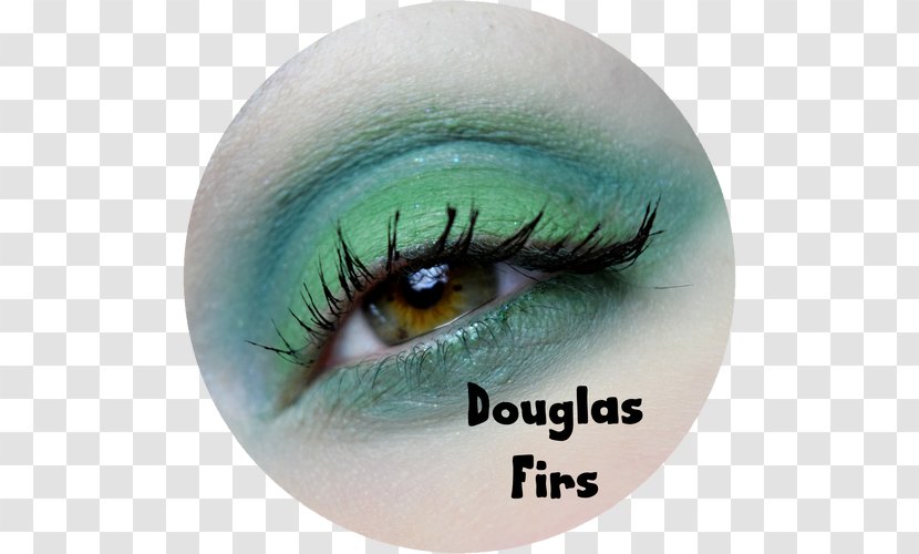 Blue Green Eye Color Teal - Tree Transparent PNG