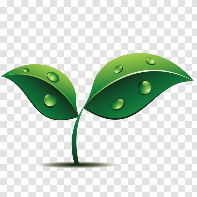 Shoot Euclidean Vector - Grass Gis - Plant Transparent PNG